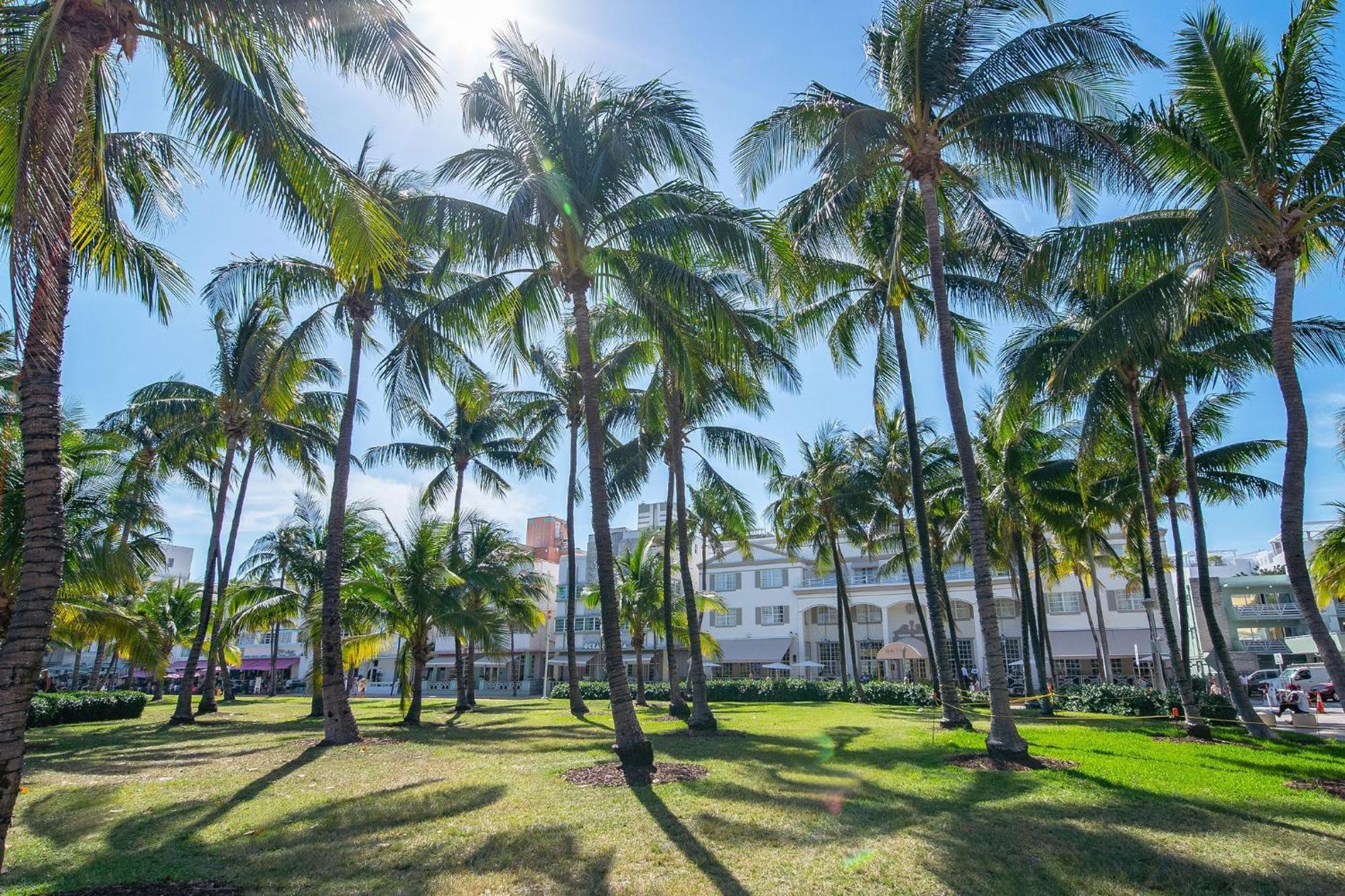 Charming Large Studio Near Ocean Dr - South Beach マイアミビーチ エクステリア 写真